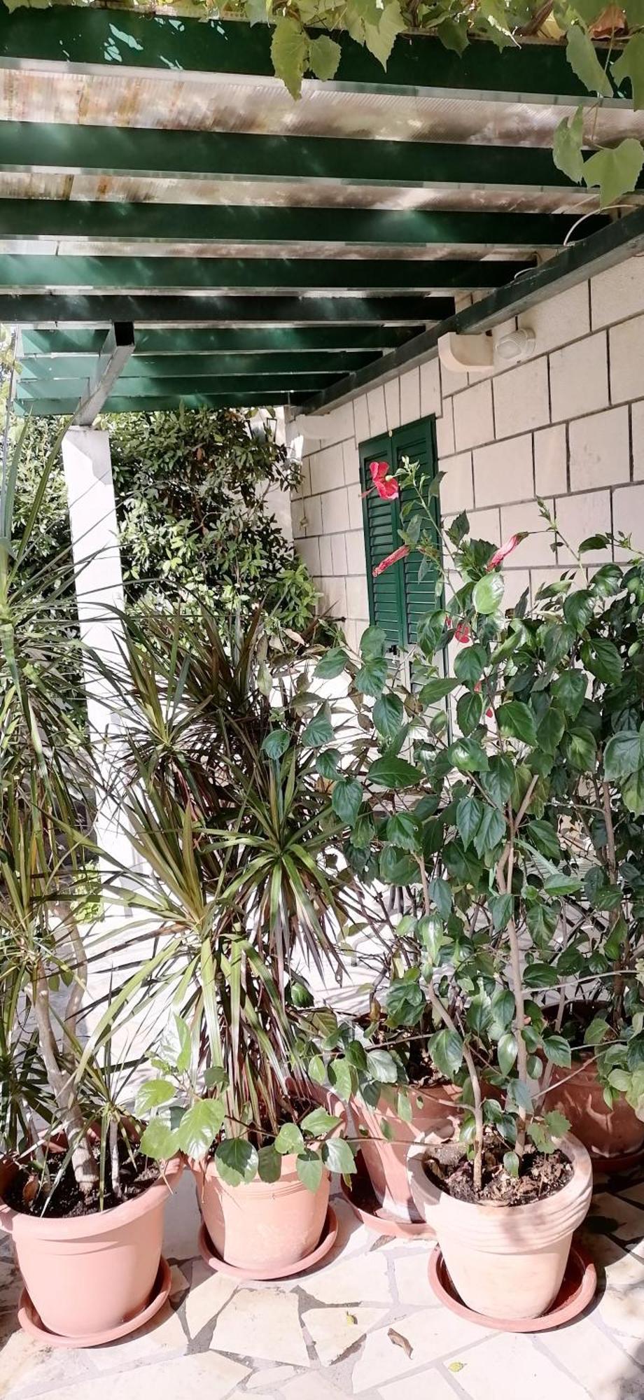Apartments Fani Kanun Bol Dış mekan fotoğraf